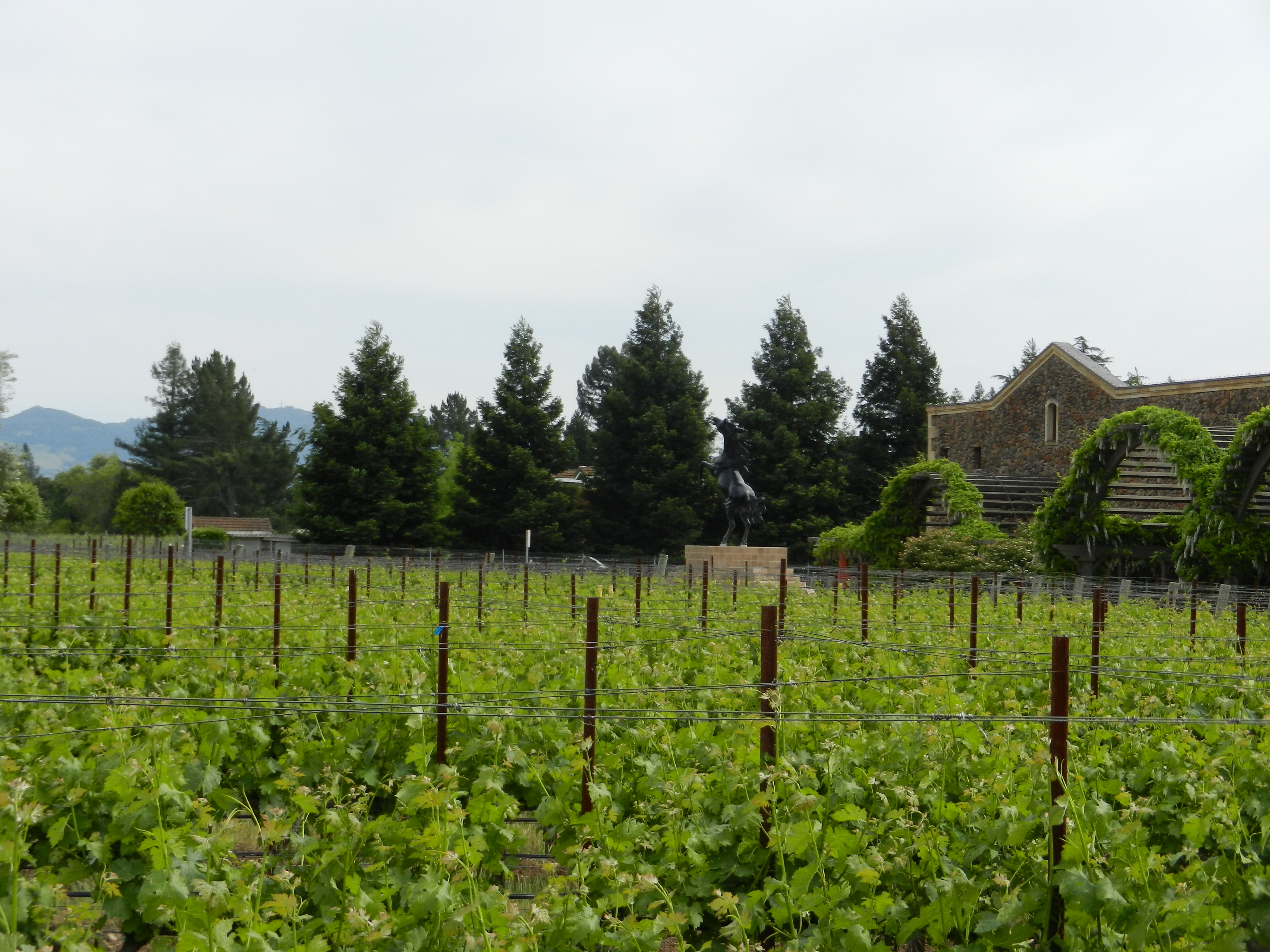 Tag 28: Sacramento – Napa