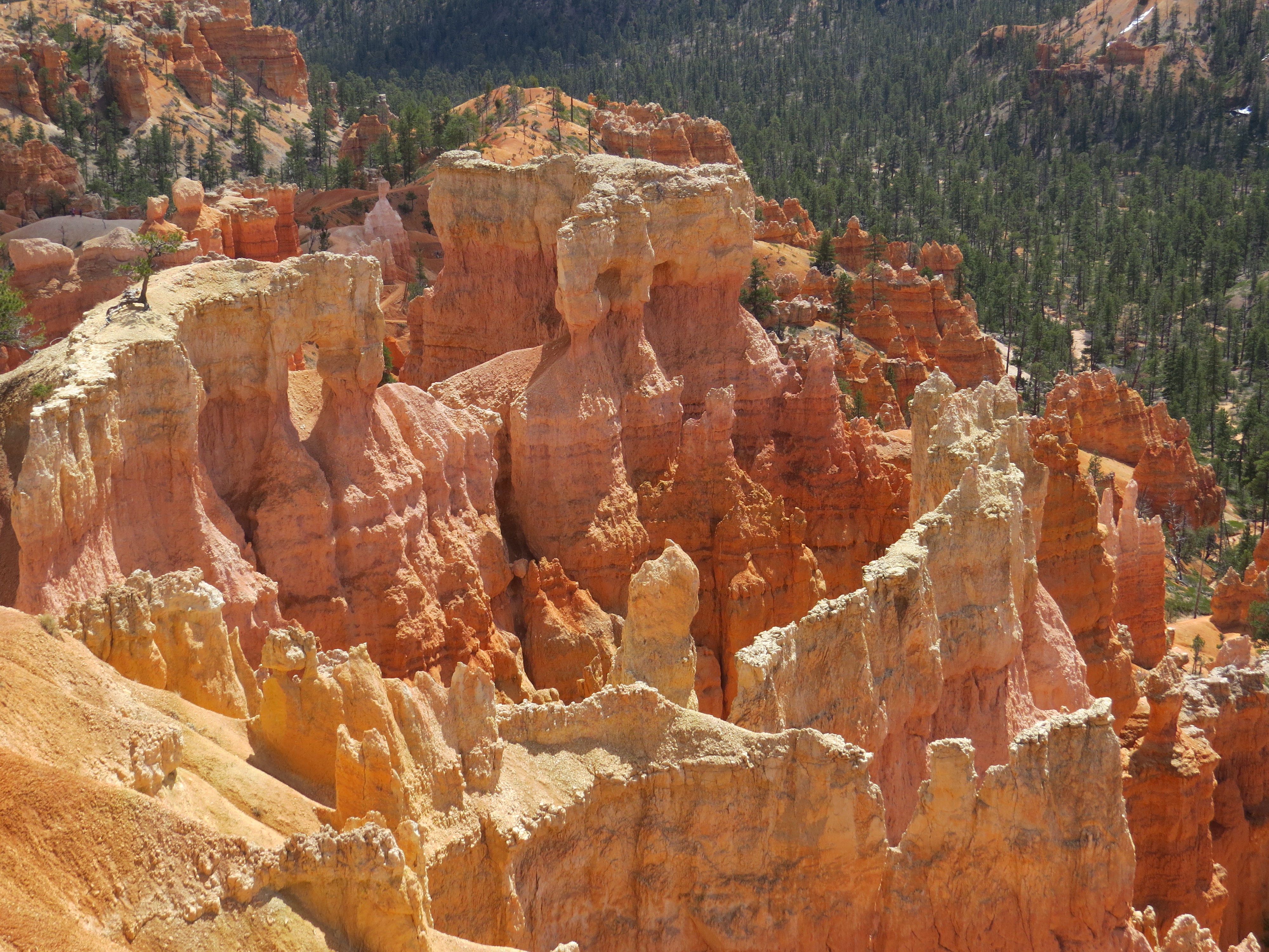 Tag 14: Torrey – Bryce City