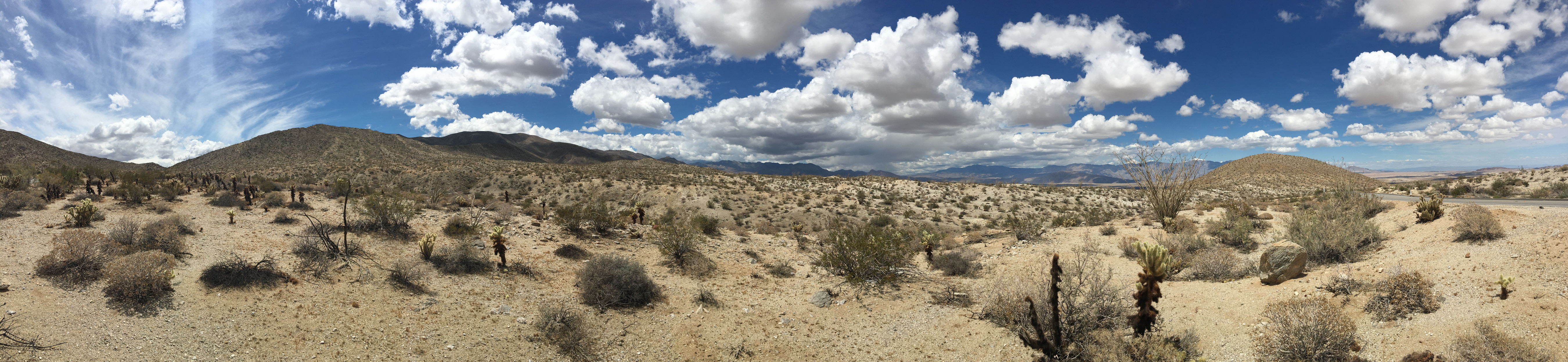 Tag 41: Indio – San Diego