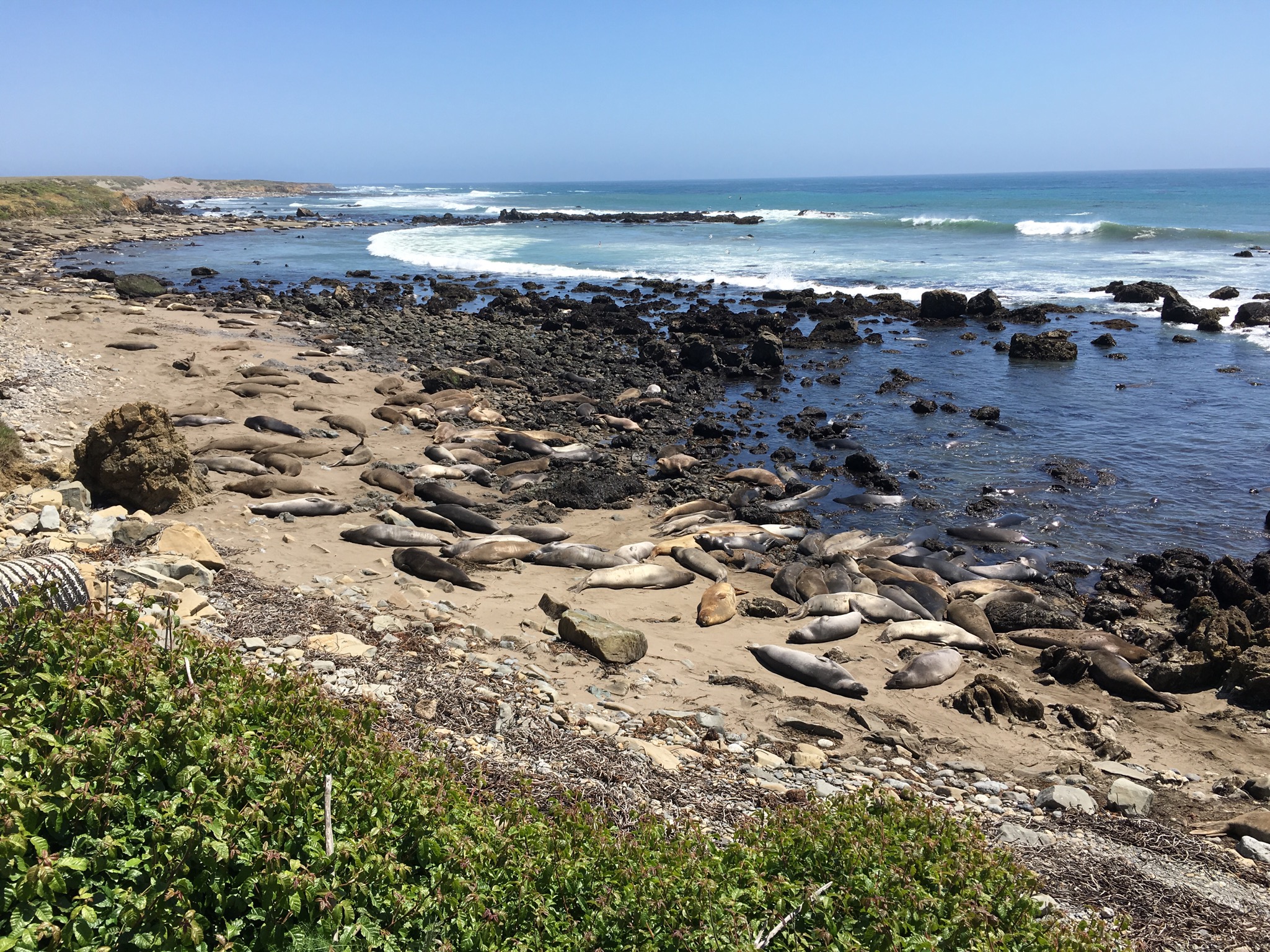 Tag 34: Monterey – San Simeon