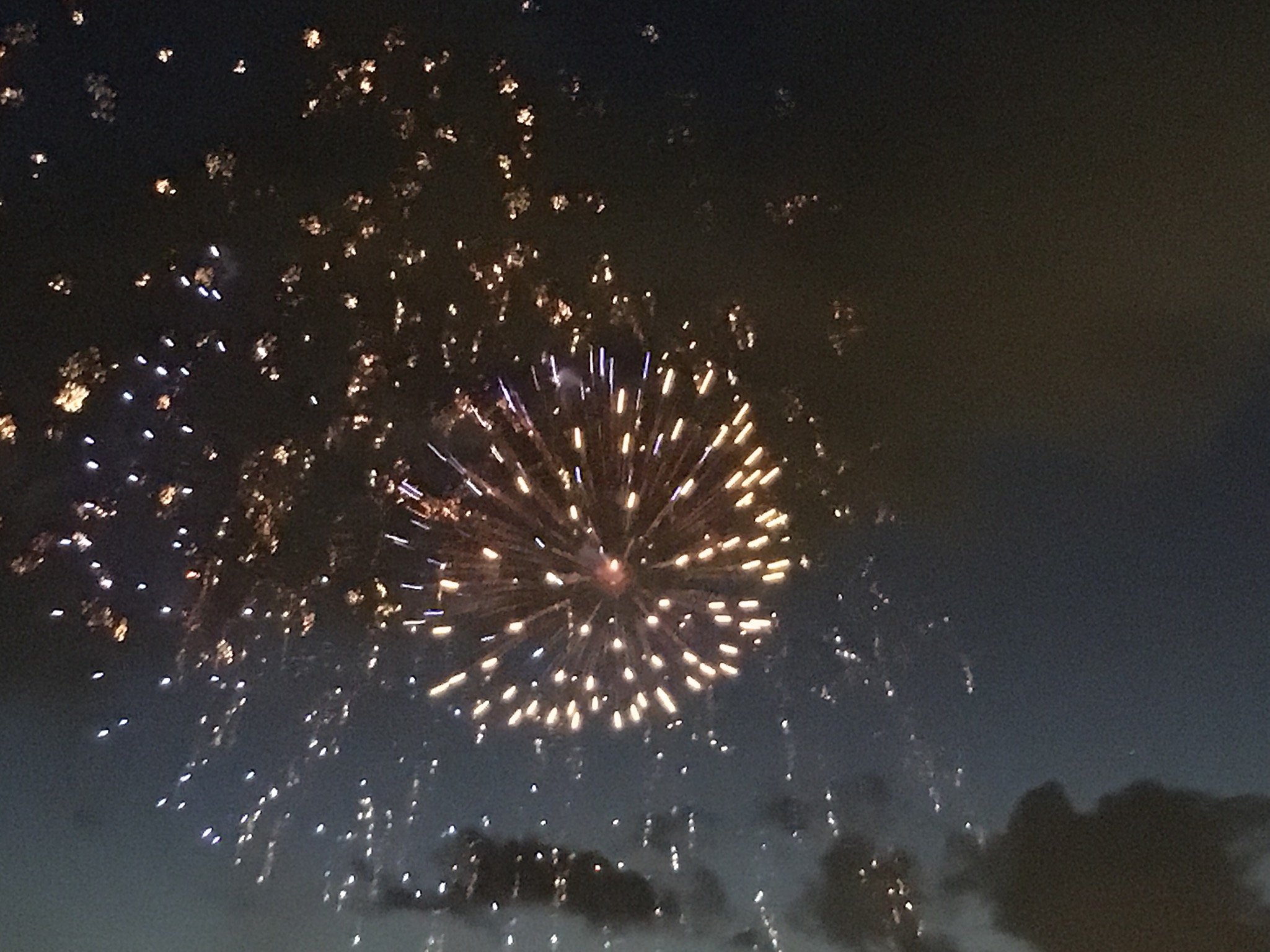 Tag 54 & 55: Big Island – Honolulu – HOME
